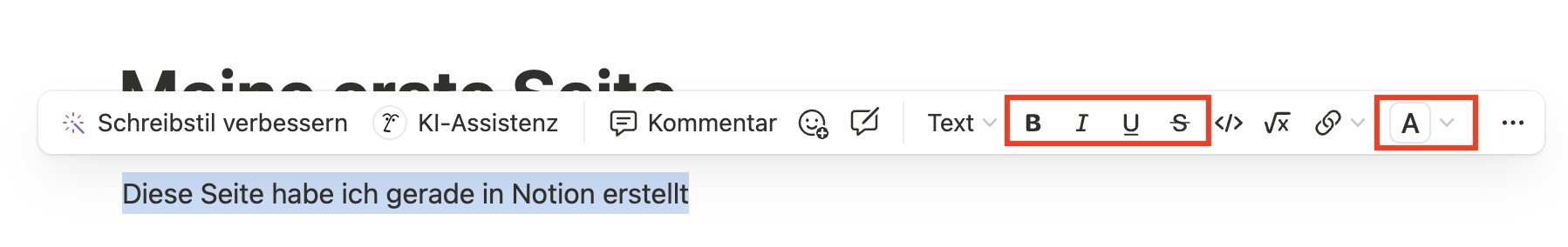 Notion Einstellungen für die Formatierung von Text