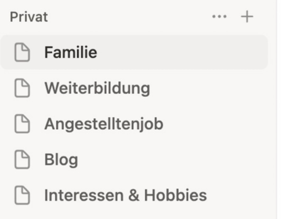 Hauptseiten in Notion erstellen